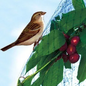 M-400 Madárkár ell.háló 4x10m 121002