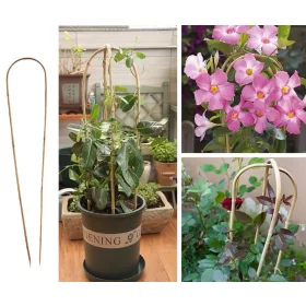 Karó-Bambusz  ívelt    200 cm      3 db-os, Vegyes áru, karó