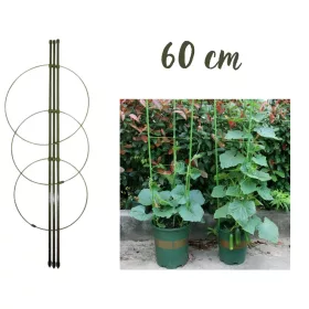 Növénytámasz  3 karó + 3 karika    60 cm, Vegyes áru, karó