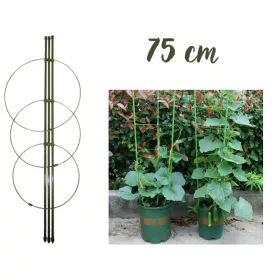 Növénytámasz  3 karó + 3 karika    75 cm, Vegyes áru, karó