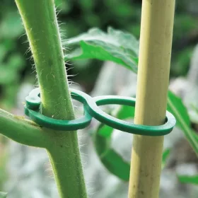 Kötöző paradicsom klipsz