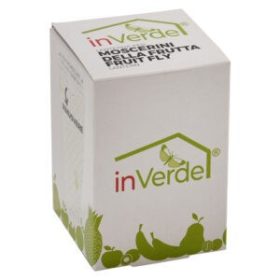 FRUIT FLY LANTERN-Gyümölcslégy lámpa