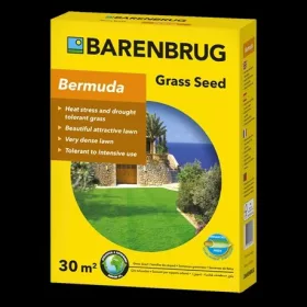 Barenbrug zöld talajtakaró Bermuda csillagpázsit 0.5kg