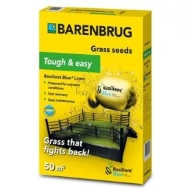 Barenbrug Resilient blue lawn 1kg erős igénybevétel