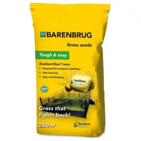 Barenbrug Resilient blue lawn 5kg erős igénybevétel