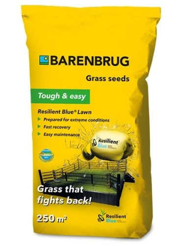Barenbrug Resilient blue lawn 5kg erős igénybevétel