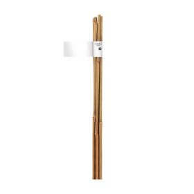 Bambusz termesztő karó 0,6m