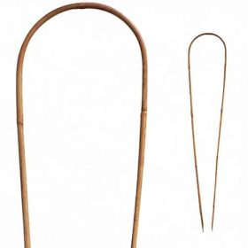 Bambusz karó ívelt 0,6m