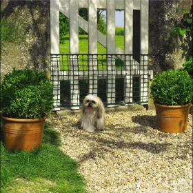 Nort Doornet háló  méterre vágjuk 0,5x20m zöld (32x28)/tekercs