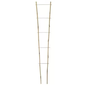 Nort echelle bamboo 120cm