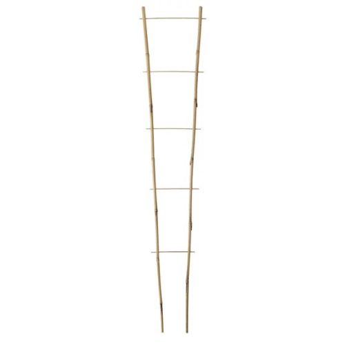 Nort echelle bamboo 120cm