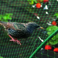 Árnyékoló hálók